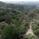 Parque Municipal Mogi das Cruzes